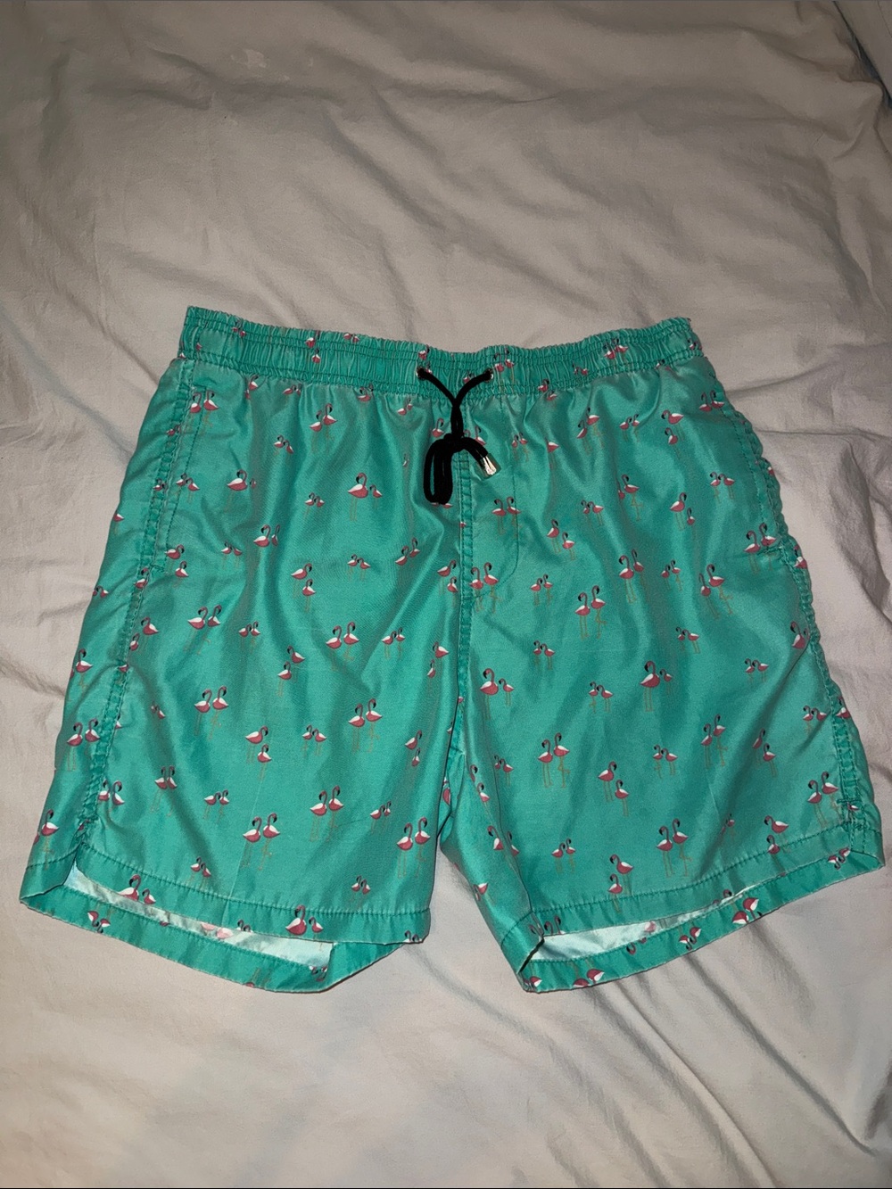 Ingear Men's Teal Flamingo Swim Trunks